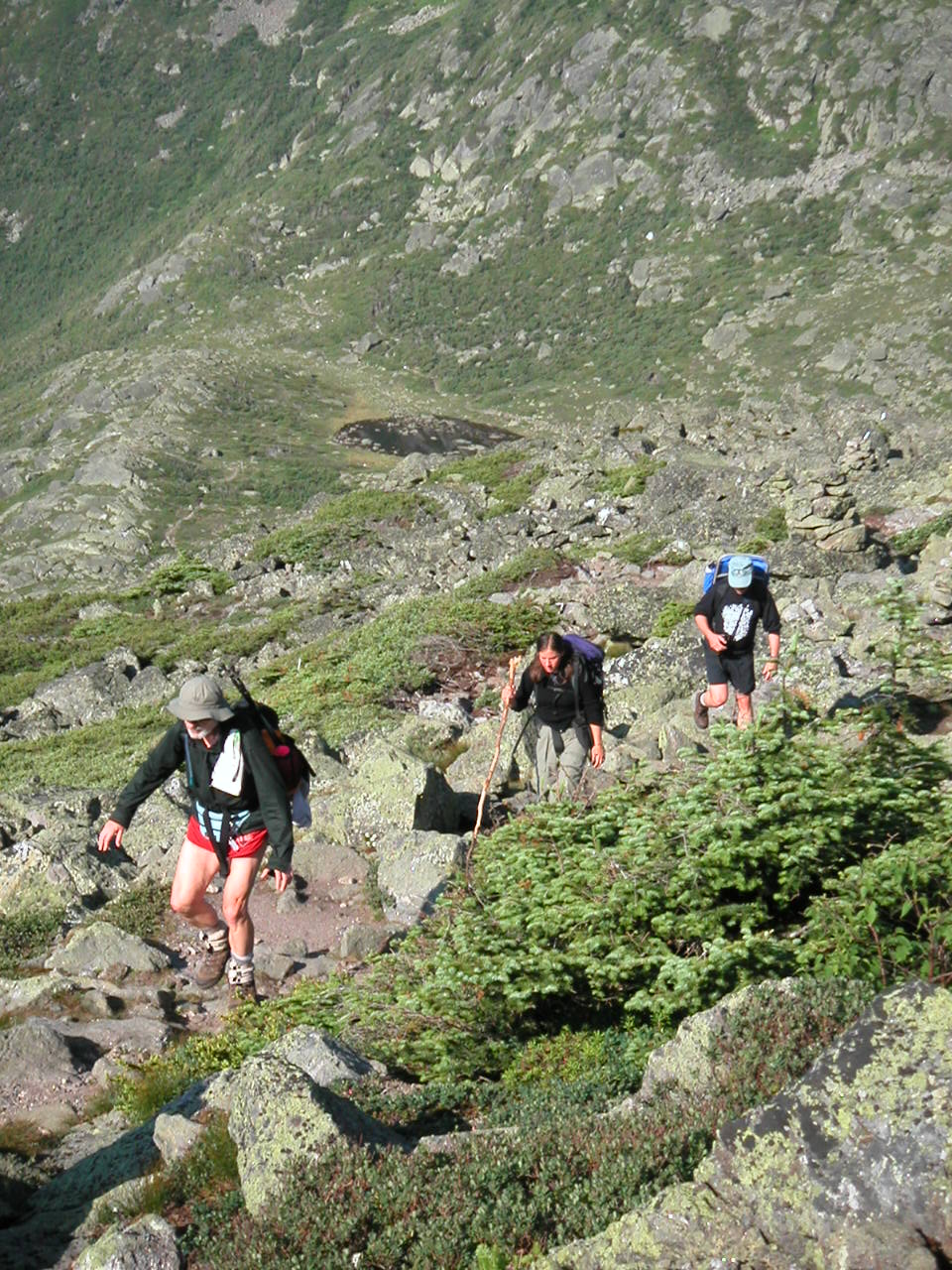 (Photo of group climbing Mt. Madison)